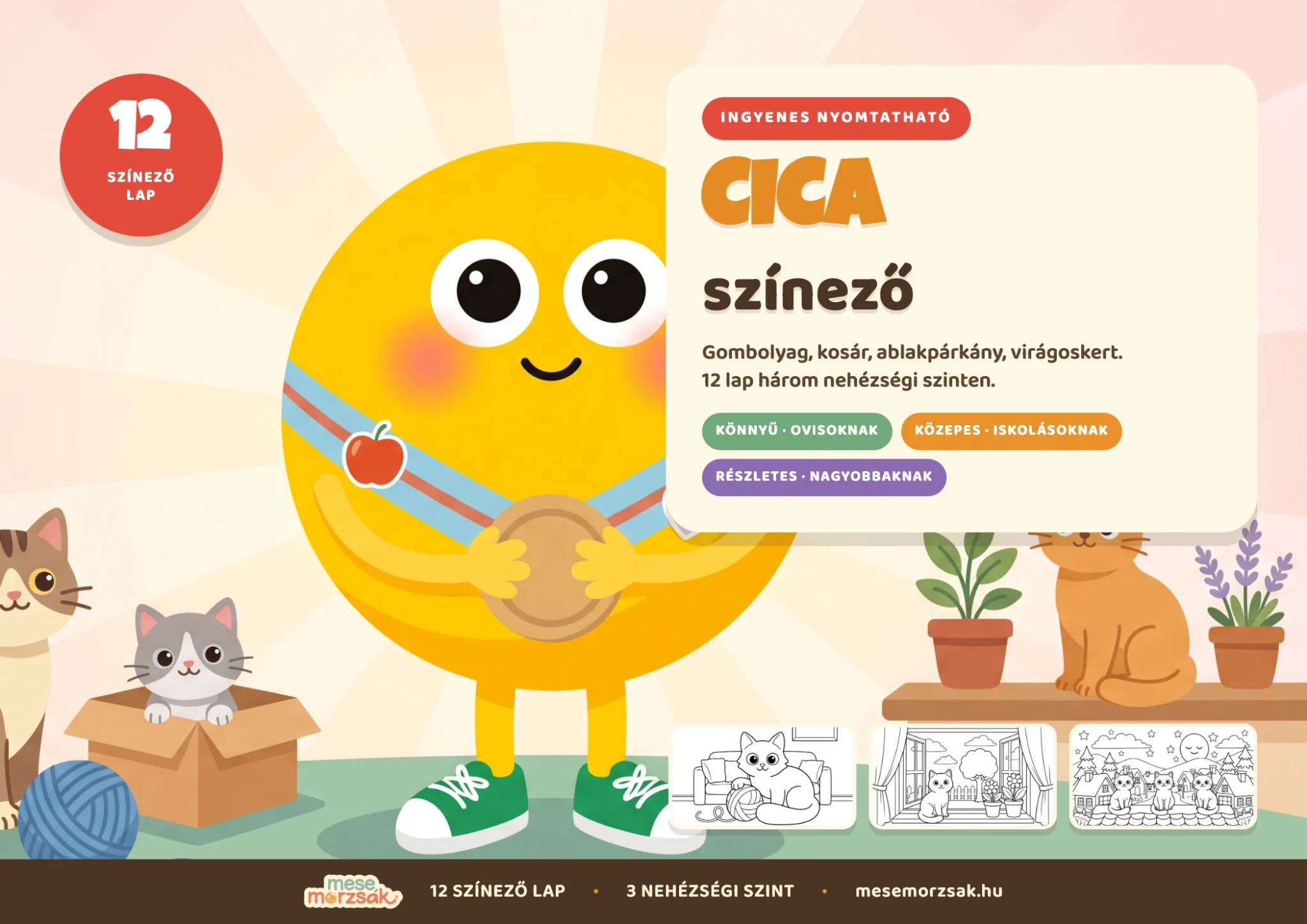 A cica színező csomag borítója: Lumi, mellette egy cica és egy kiscica a dobozban