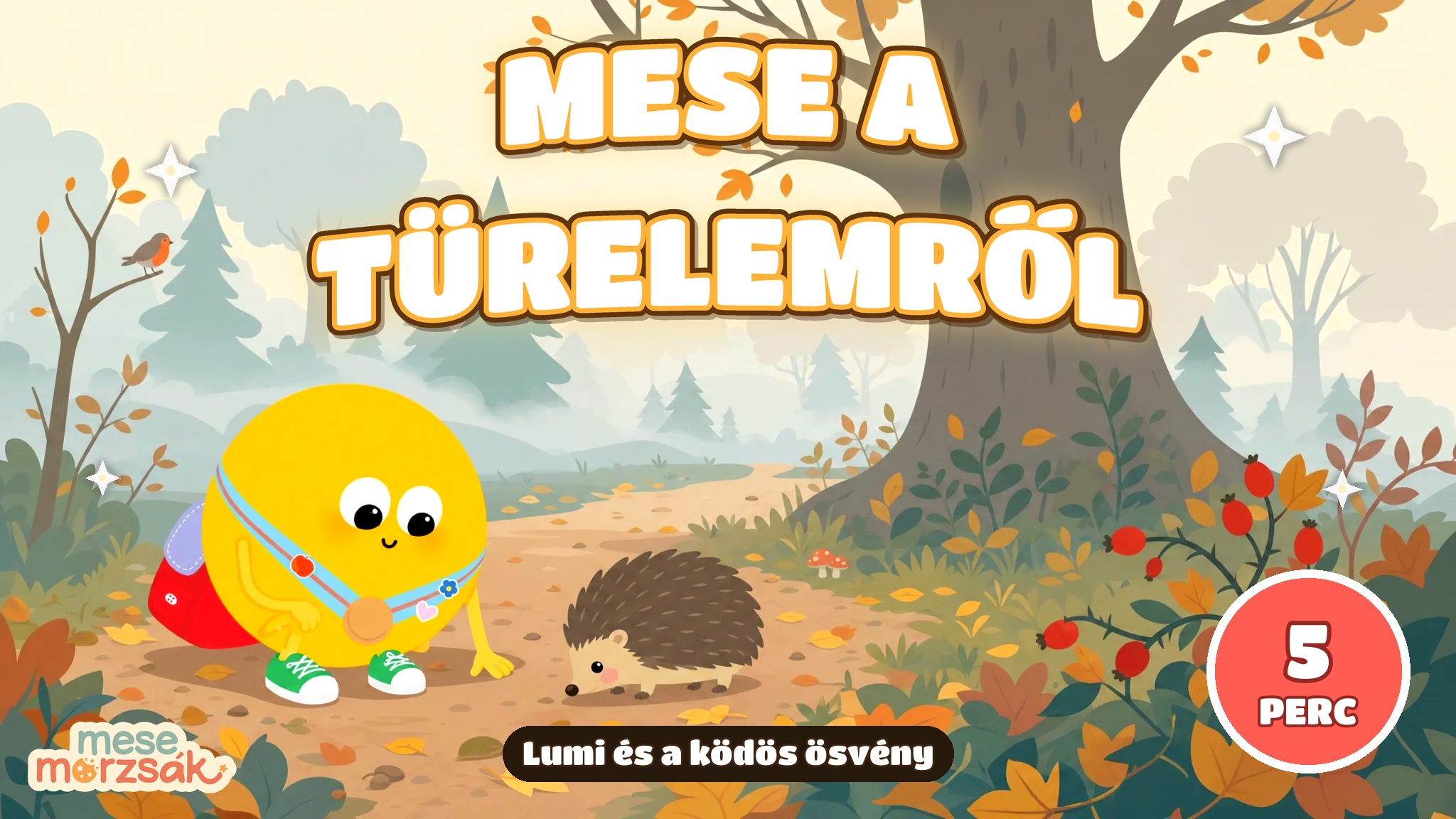 Reggeli mese gyerekeknek – Lumi és a ködös ösvény, mese a türelemről